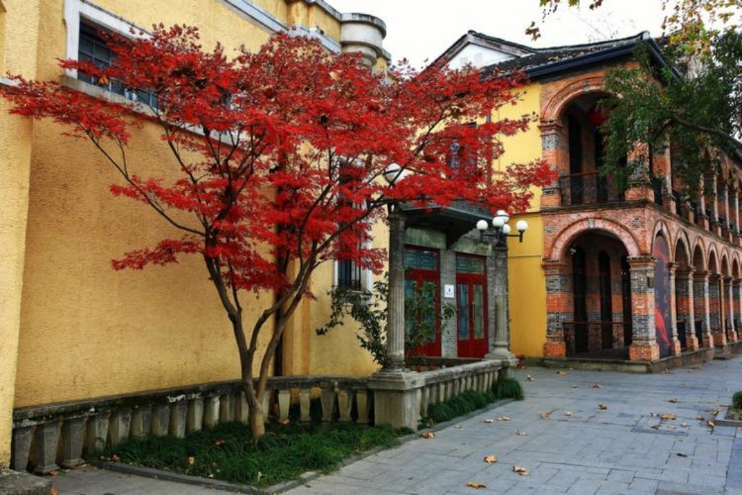 1-Day Hangzhou Beishan Street Timeless Journey & West Lake Boating