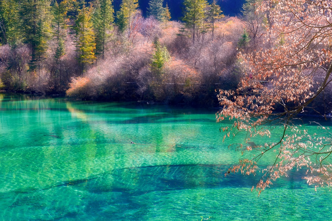 How to get to Jiuzhaigou from Chengdu?